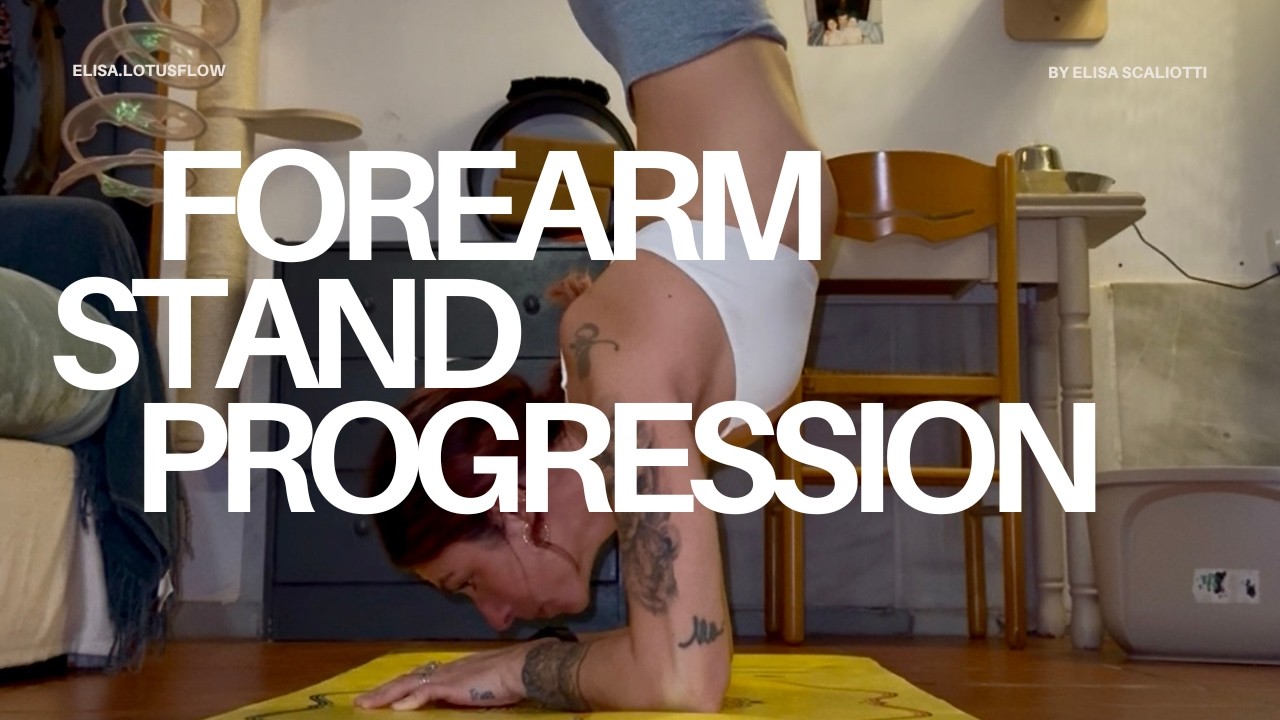 Trailer Forearm (12.02.2026)