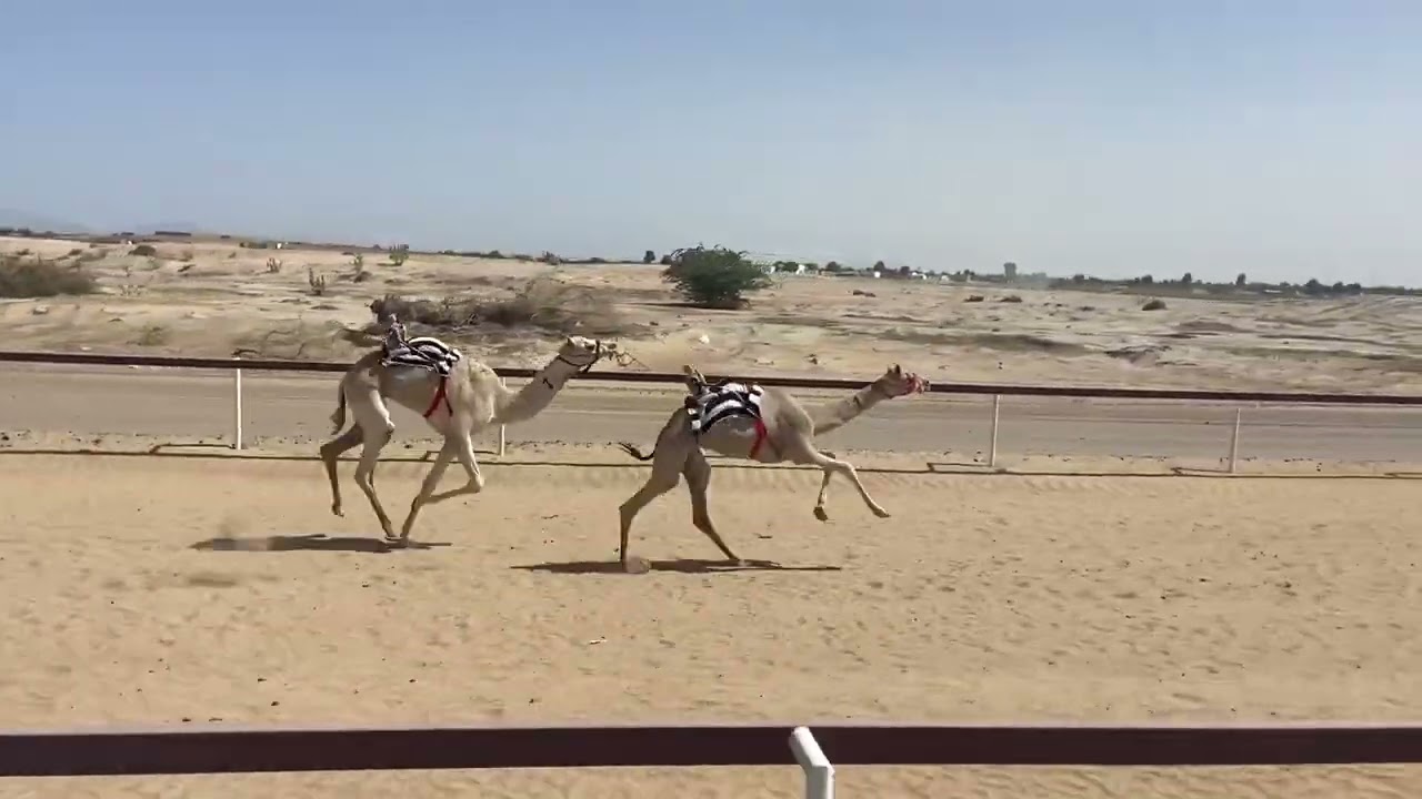 ٨ مارس، ٢٠٢٥