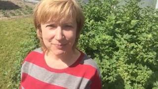 Видео Привычка миллионеров № 6 Помогать людям, нести пользу, творить добро (автор: Наталья Пахомова)