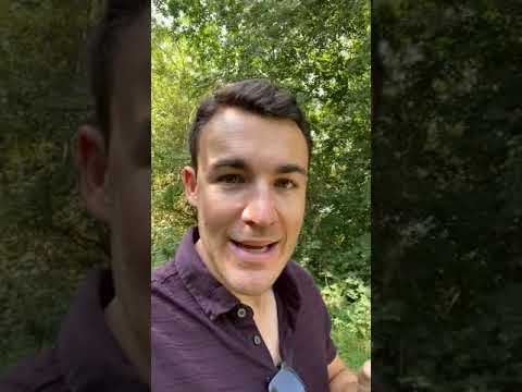 Should You Duplicate