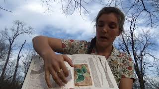 Intro to nature journaling