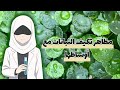 أروع ملخص درس مظاهر تكيف النباتات مع أوساطها في العلوم الطبيعية للسنة الثانية متوسط 