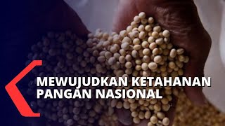Mewujudkan Ketahanan Pangan Nasional Di Tengah Pandemi Covid19