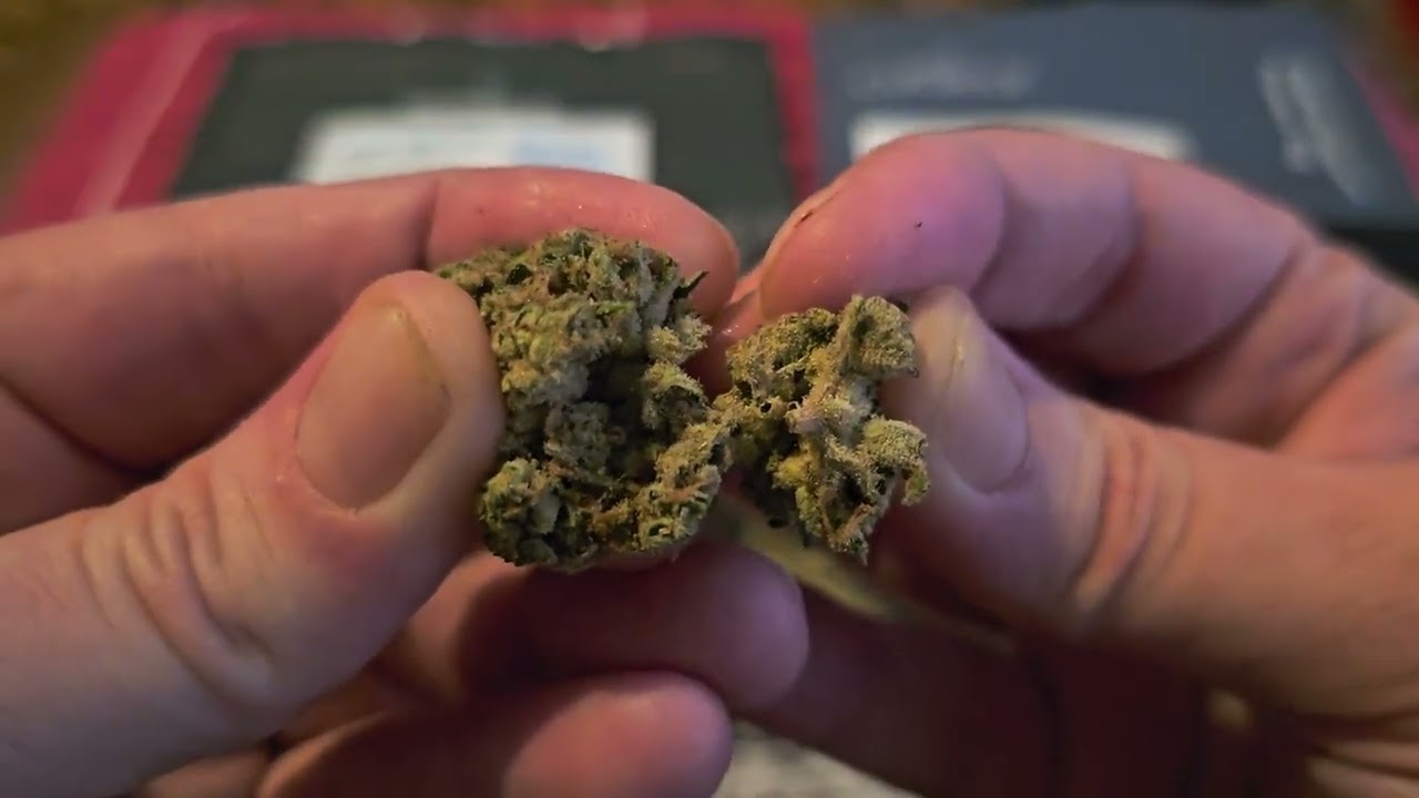 UK Medical Cannabis Review - Blue Dream + Green Gelato