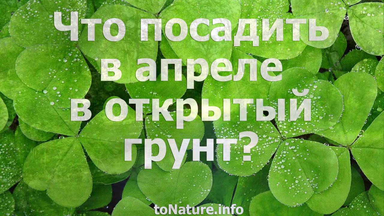 Посадить в колодки