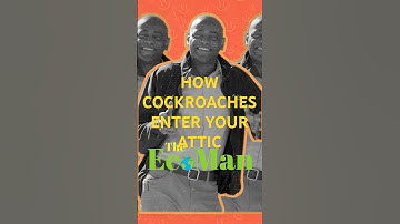 How Cockroaches enter your Attic