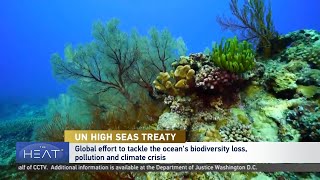 The Heat: UN High Seas Treaty