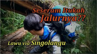 Review Lengkap Jalur Pendakian Gunung Lawu via Singolangu 2023