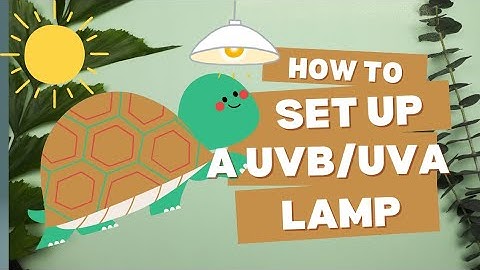 How to set up a UVB/UVA Lamp