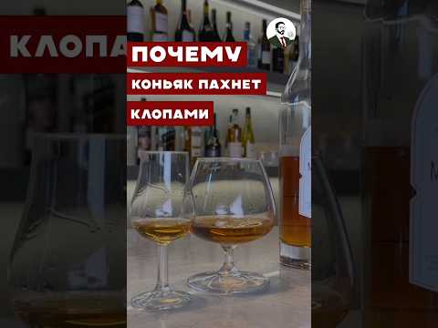 Что это значит, если коньяк пахнет клопами #вино #cocktail #wine #алкоголь #коньяк #жанпольалкоголь
