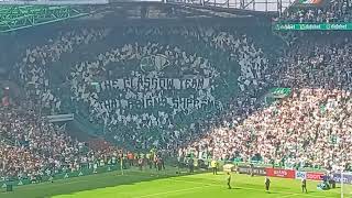 Celtic 3-2 st mirren Bhoys tifo 18-5-24