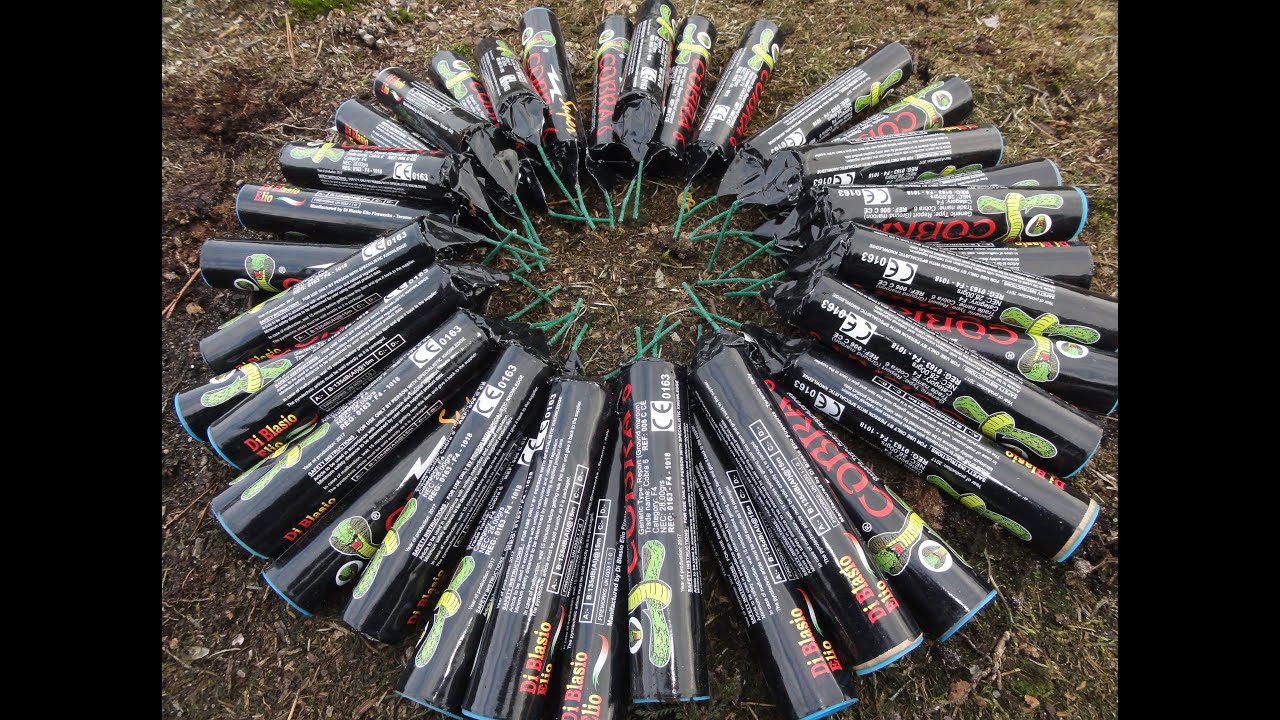 XXXL POLENBÖLLER Compilation TheOftler