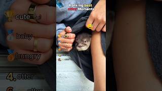 Ranking best otter Moments #usa