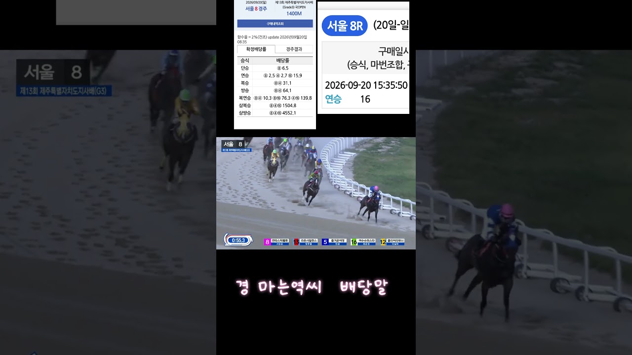 15배단통적중  미친경주