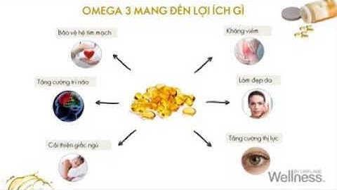 Axit béo omega 3 là gì năm 2024