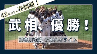 【両軍27安打の大熱戦！全て見せます！】 武相 vs 東海大相模 決勝フルハイライト 【2024年 神奈川県春季大会】