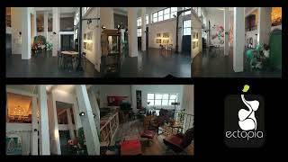 Art and Immunology: A Lifelong Relationship - Marta de Menezes