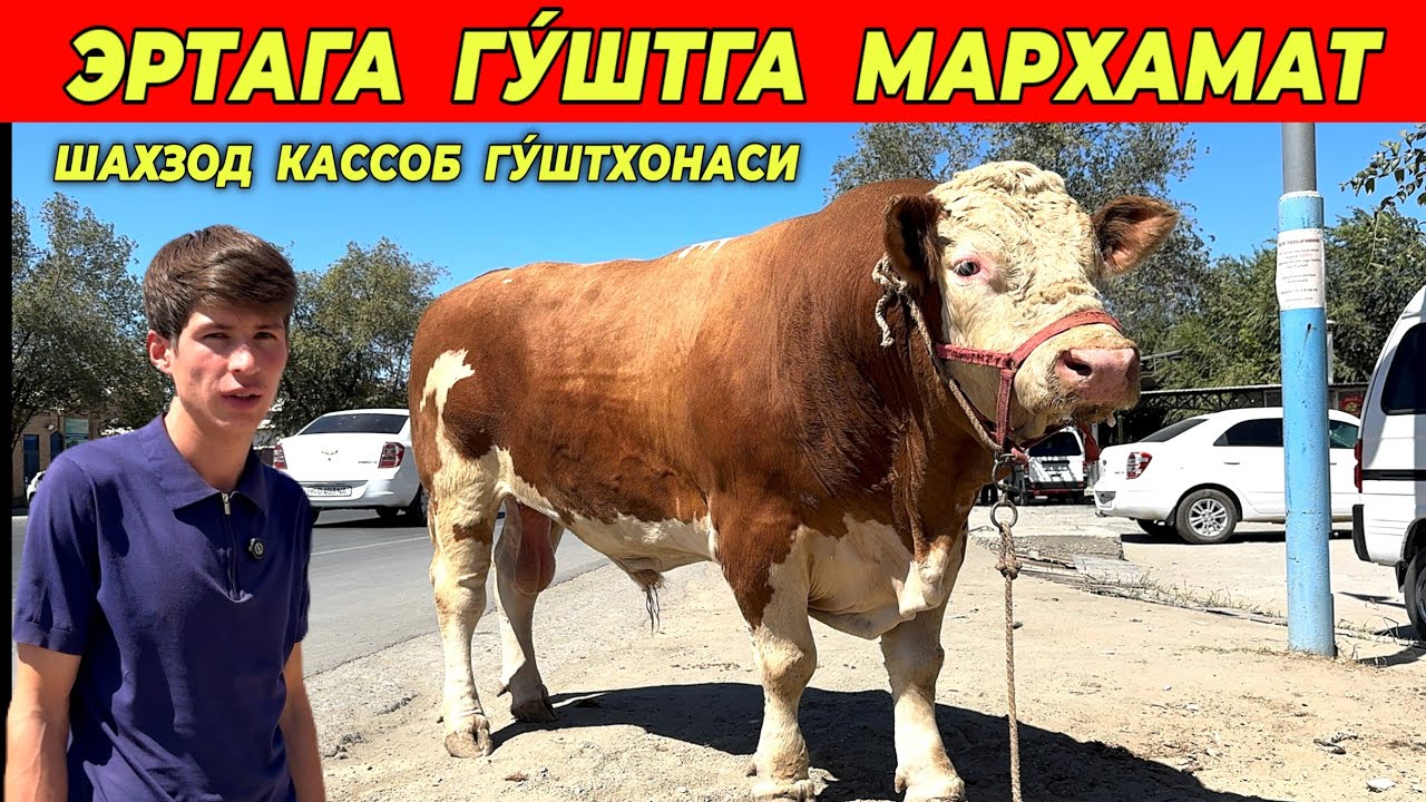 ЭРТАГА ГУ́ШТГА МАРХАМАТ ШАХЗОД КАССОБ ГУ́ШТХОНАСИ !!! ХОРАЗМ БОЗОР 
