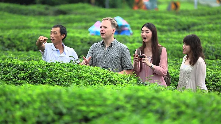 徐耀良茶行 東方美人茶 part2(1/8+2/8)影片初剪片頭測試  新竹縣峨眉鄉 徐耀良茶行 茶園生態體驗 小綠葉蟬 足跡之旅 - 天天要聞