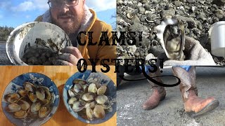 South Hood-South Sound TWO STEP (steamer clams, oysters, dig and cook)