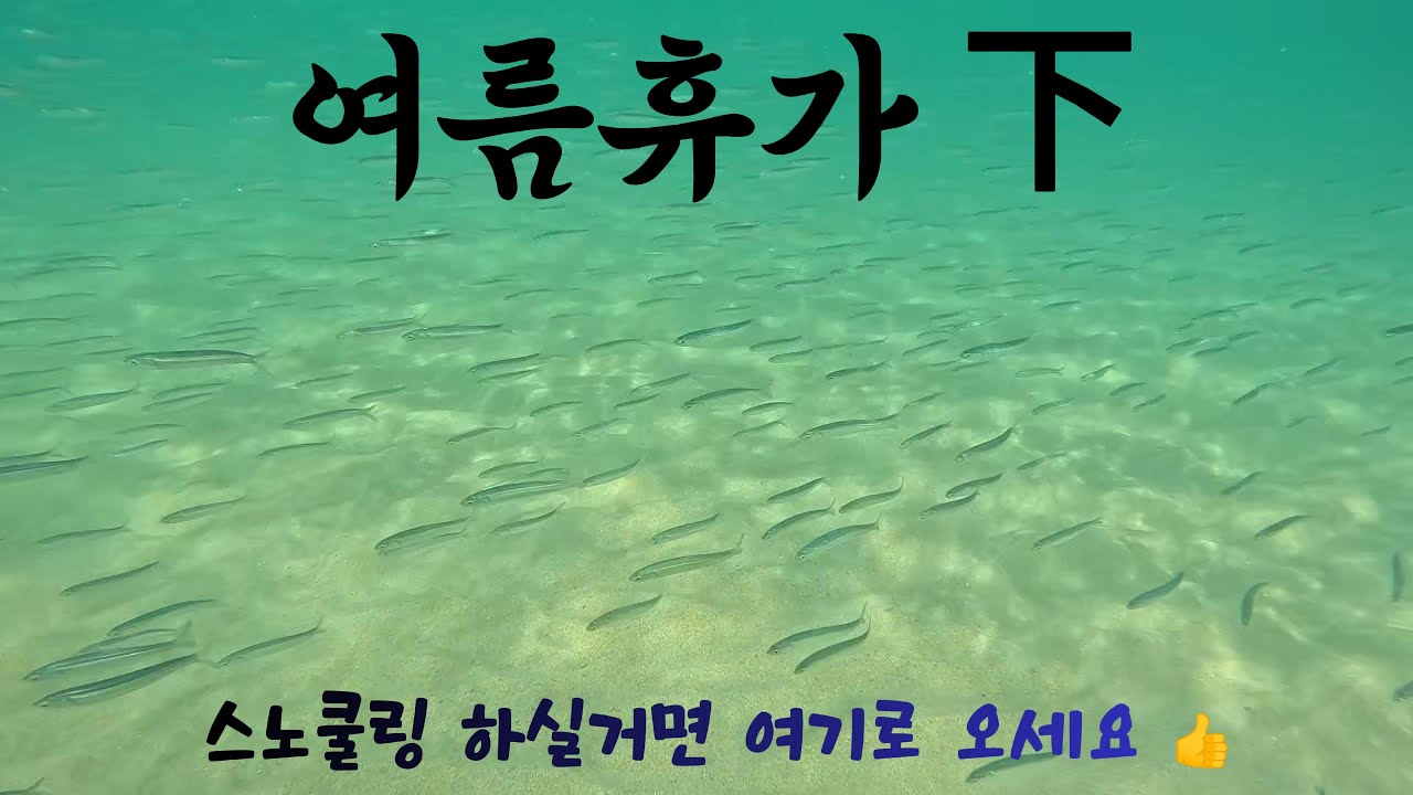 🏖️강원도 여름휴가 후편 | 망상해수욕장 캠핑 & 물고기 떼와 스노클링!🐠