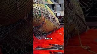 170 Tonnen Fisch in nur einem Fang! 🎣😱#tiere #shorts