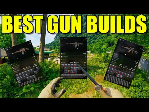 The Best *META* Weapon Builds | GUIDE | Gray Zone Warfare