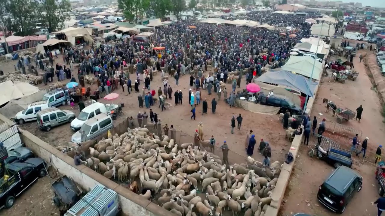 ﻣﻦ ﺳﻮﻕ ﻟﺴﻮﻕ : سوق ولاد فرج