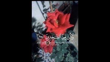 ولقد نعلم أنك يضيق صدرك بما يقولون القارئ أسلام صبحي🤍🤲