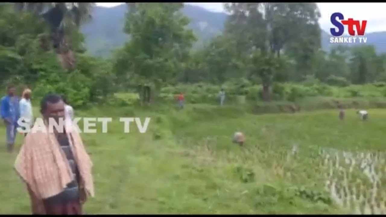 kalahandi block list Odisha : Wild elephants create mayhem in Oupada block in Balasore | Sanket Tv