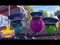 Cartoons for Children | SUNNY BUNNIES - Bunny Express | Season 4 | Cartoon