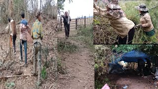 Lub Neej Ua Teb Pem Toj Siab