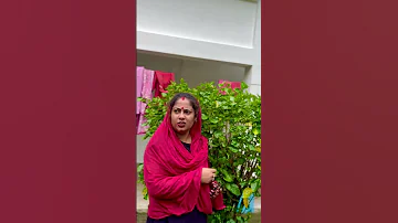 I M Sorry Funny Comedy Shorts Ytshorts Sathistravel 