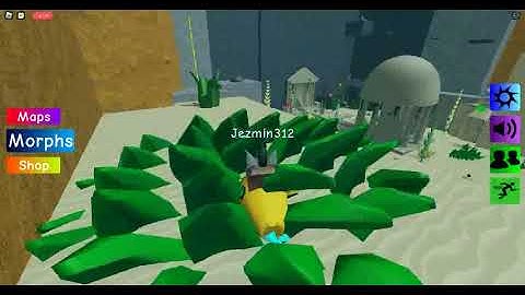 How to get the submarine floppa in Floppa Morphs