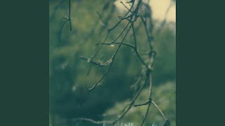 Video thumbnail of "Benoit Pioulard - Same Time Next Year"