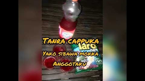 Anak editor bugis"part 4"