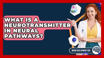 What Is A Neurotransmitter In Neural Pathways? - Brain Development Hub