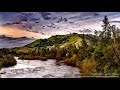 Rahatlatıcı Nehir Sesi, Doğa Sesleri, Şarkı Söyleyen Kuşlar Relaxing River WaterStream - HD 1080 kuş