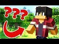 Playing Minecraft with APHMAU!