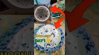 MOON LIGHT 🌖 KAISE BANAYE #minivlog #moonlight #shorts #viral #tricks