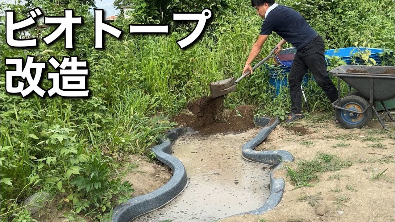 ビオトープにもっと生き物が来るように大改造を行います