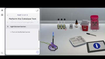 Pearson Interactive Labs | Identifying the Unknown Mystery Microbe 2