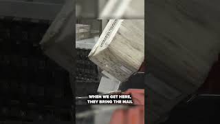USPS behind-the-scenes look before the holidays