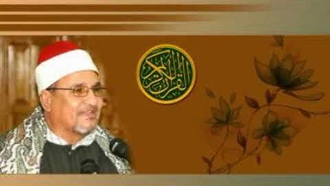 الشيخ محمد عبدالوهاب الطنطاوي سورة الاحزاب الأحزاب