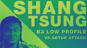 MK11 Shang Tsung Low Profiling Getup U3 With B3