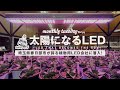 【植物育成ライト】アガベ室内管理の必需品!ヘリオスグリーンLEDの生みの親株式会社JPPに潜入!アガベ育成実験室がヤバすぎる!【ゼロから始める郷土愛】埼玉県春日部市