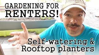 Urban Gardening Tips for Renters: Self-Watering Containers / Rooftop Terraces / Community Gardens