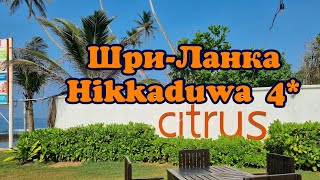 CITRUS HIKKADUWA 4* Шри-Ланка, Хиккадува. Обзор от турагента