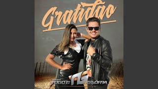 Video thumbnail of "Fogo e Glória - Gratidão"