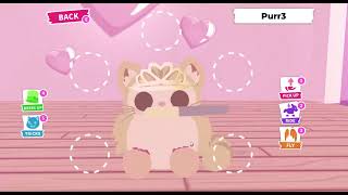 this pets value should rise alot adopt me